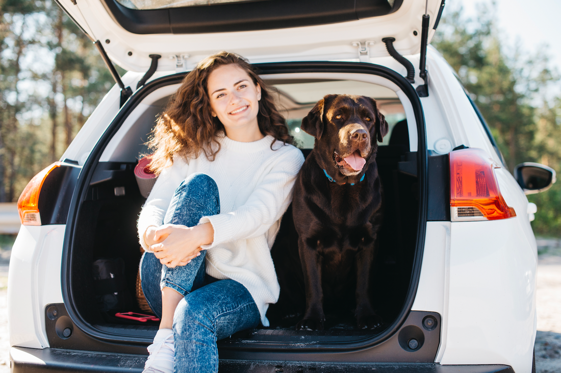 Les meilleures astuces pour garder votre voiture sans poils d'animaux